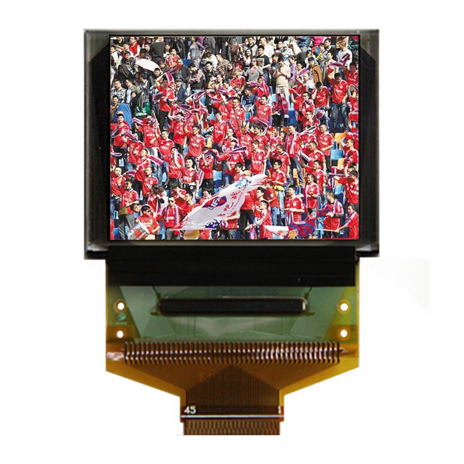 1.77" AMOLED Display Smart Watch SSD1353 color OLED Display