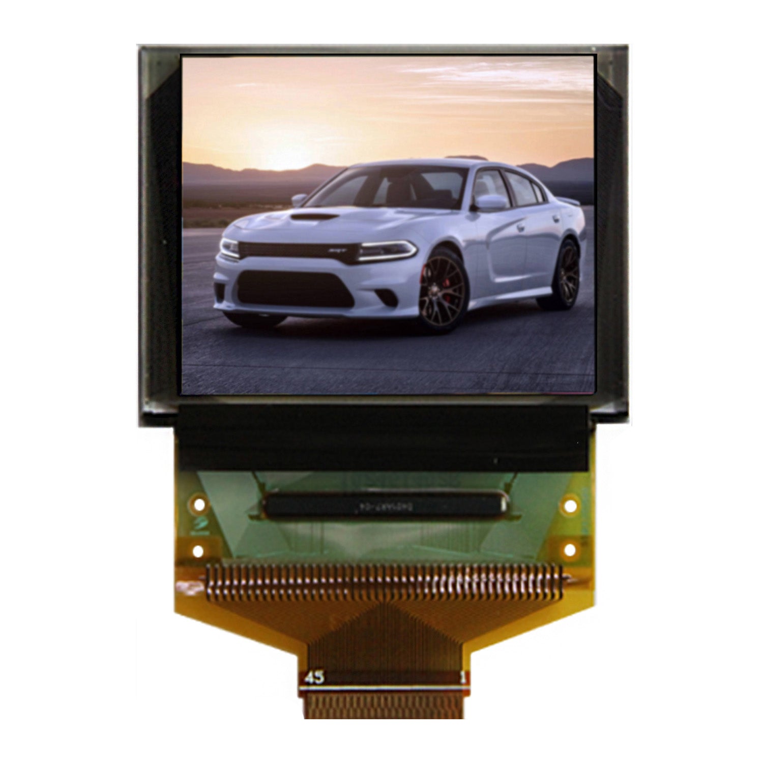 1.77" AMOLED Display Smart Watch SSD1353 color OLED Display