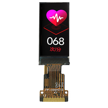 0.96-inch Custom Small Mini TFT Portable Motorcycle Ebike LCD