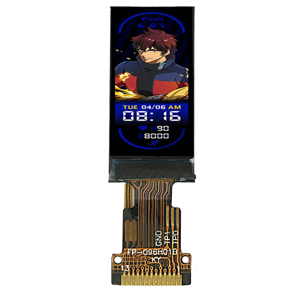 0.96-inch Custom Small Mini TFT Portable Motorcycle Ebike LCD