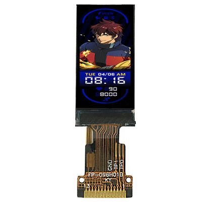 0.96-inch Custom Small Mini TFT Portable Motorcycle Ebike LCD