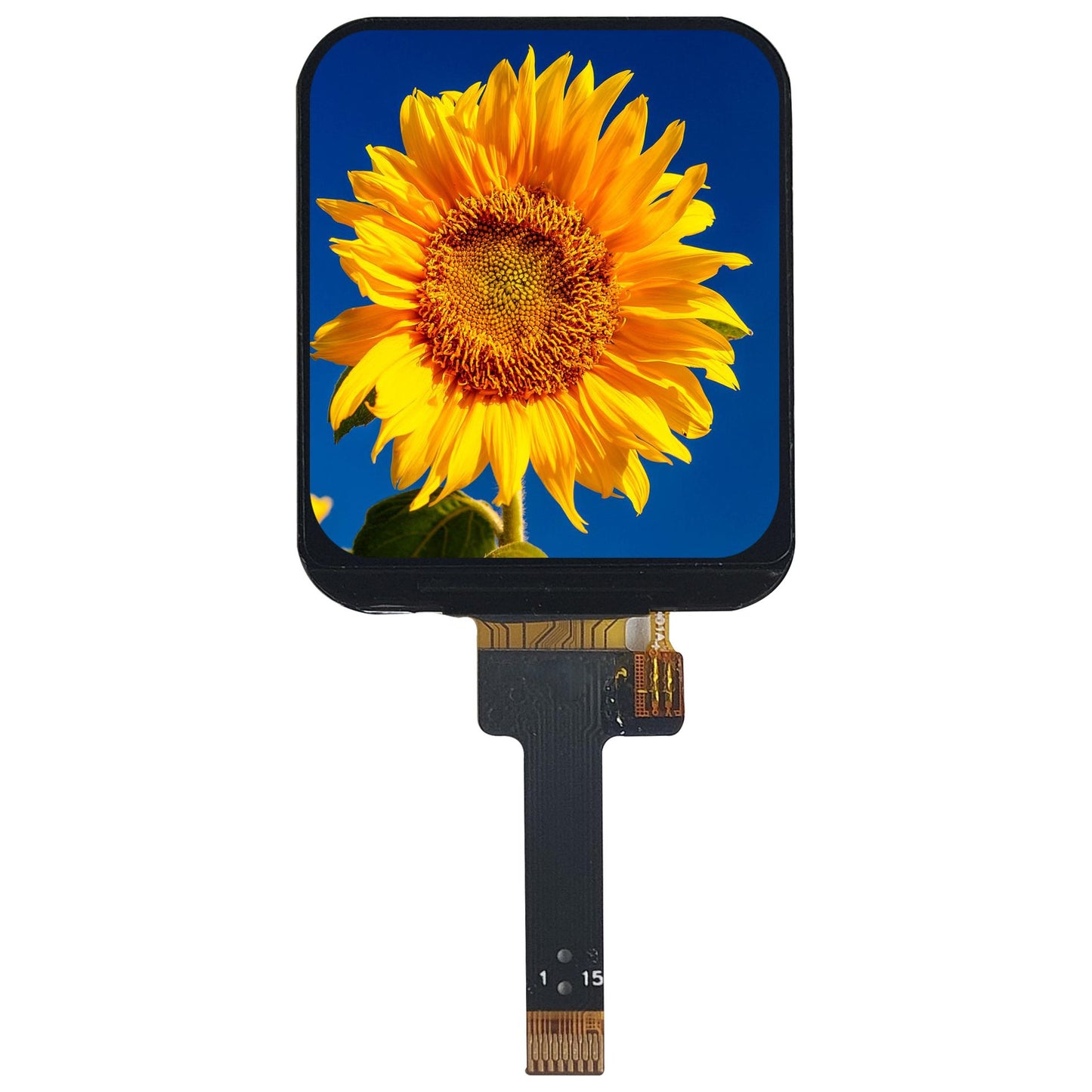 1.69-inch SPI 240x280 ST7789 Driver TFT Display IPS LCD Display for Smart Watch