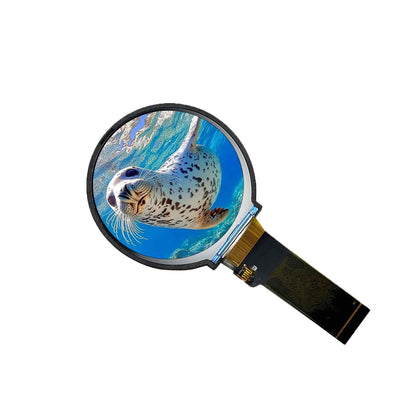 2.76-inch 480x480 1000cd/m2 High Brightness Round TFT Display Circular LCD IPS TFT